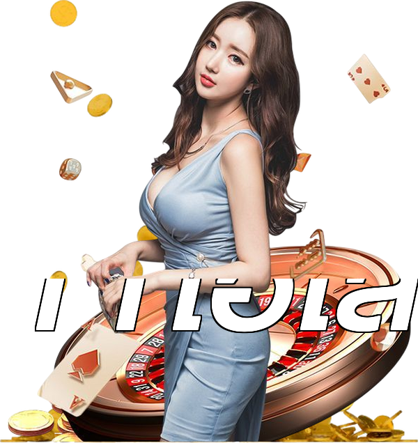 11ไฮโล
